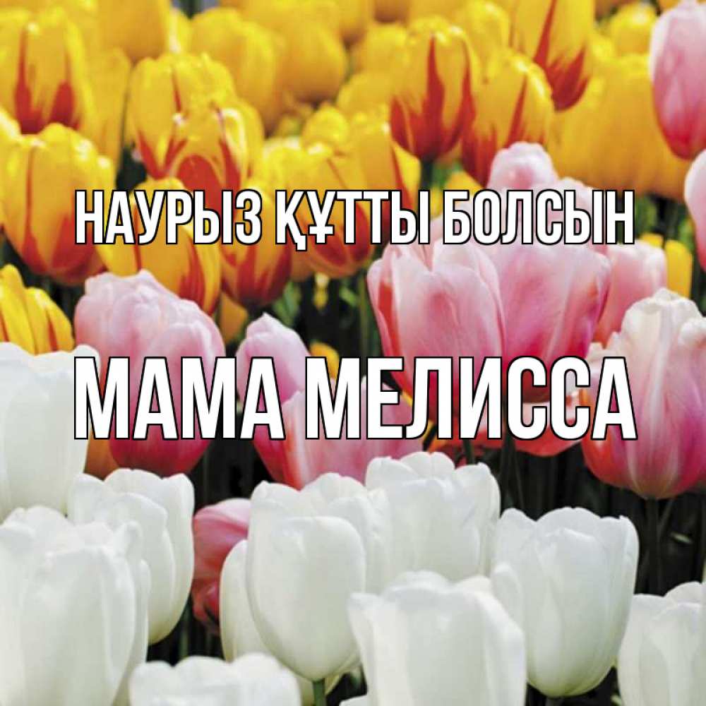 Открытка на каждый день с именем, Мама-Мелисса Наурыз құтты болсын разноцветные цветы Прикольная открытка с пожеланием онлайн скачать бесплатно 