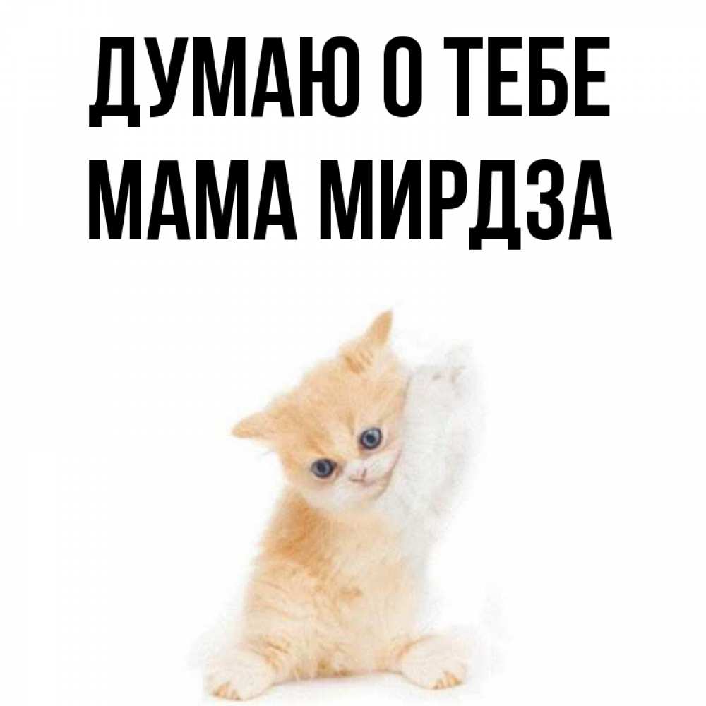 Открытка на каждый день с именем, Мама-Мирдза Думаю о тебе зверушки и милота Прикольная открытка с пожеланием онлайн скачать бесплатно 