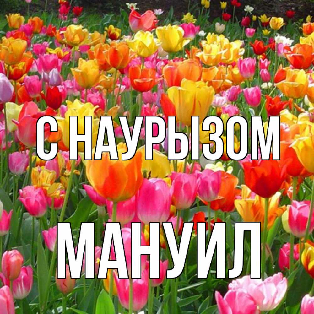 Открытка на каждый день с именем, Мануил С наурызом праздник весны наурыз 4 Прикольная открытка с пожеланием онлайн скачать бесплатно 