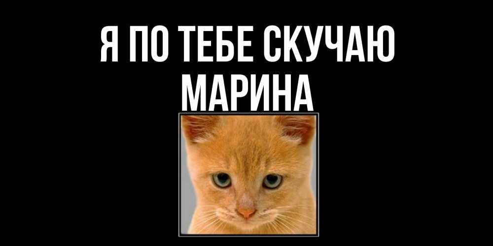 Открытка на каждый день с именем, Марина Я по тебе скучаю открытки рыжий котенок скучает по тебе Прикольная открытка с пожеланием онлайн скачать бесплатно 