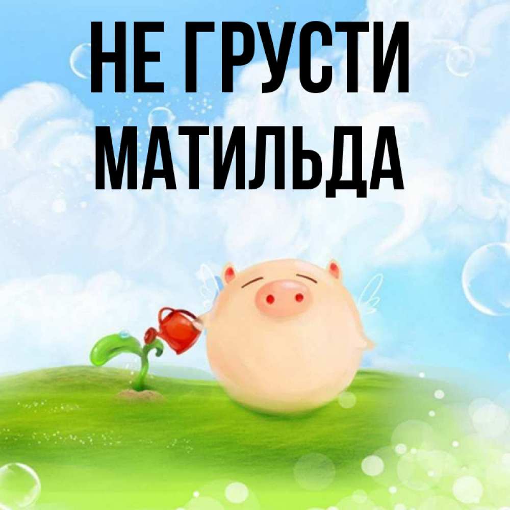 Открытка на каждый день с именем, Матильда Не грусти поливает цветок порося Прикольная открытка с пожеланием онлайн скачать бесплатно 