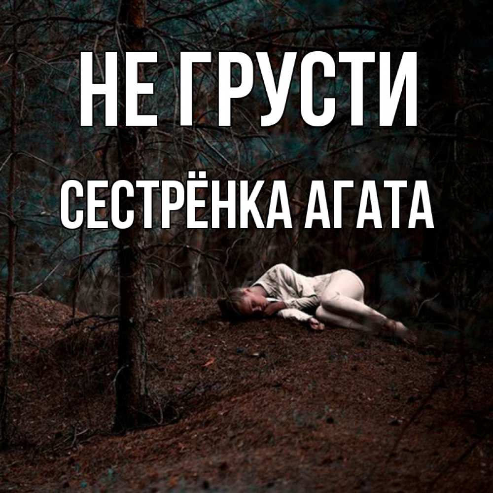 Открытка на каждый день с именем, Сестрёнка-Агата Не грусти лес Прикольная открытка с пожеланием онлайн скачать бесплатно 