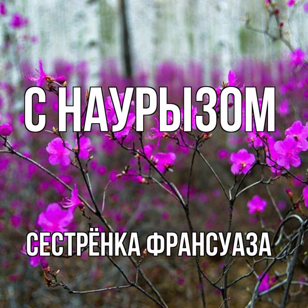 Открытка на каждый день с именем, Сестрёнка-Франсуаза С наурызом дикие цветы Прикольная открытка с пожеланием онлайн скачать бесплатно 