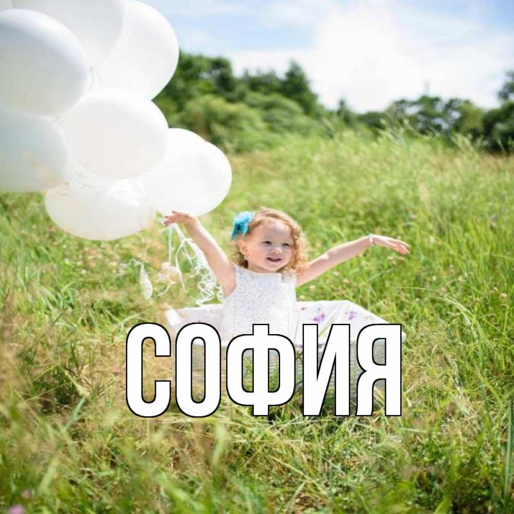 Открытка на каждый день с именем, София Главная девочка сидит в корзине наверное от этого больной должен выздороветь Прикольная открытка с пожеланием онлайн скачать бесплатно 