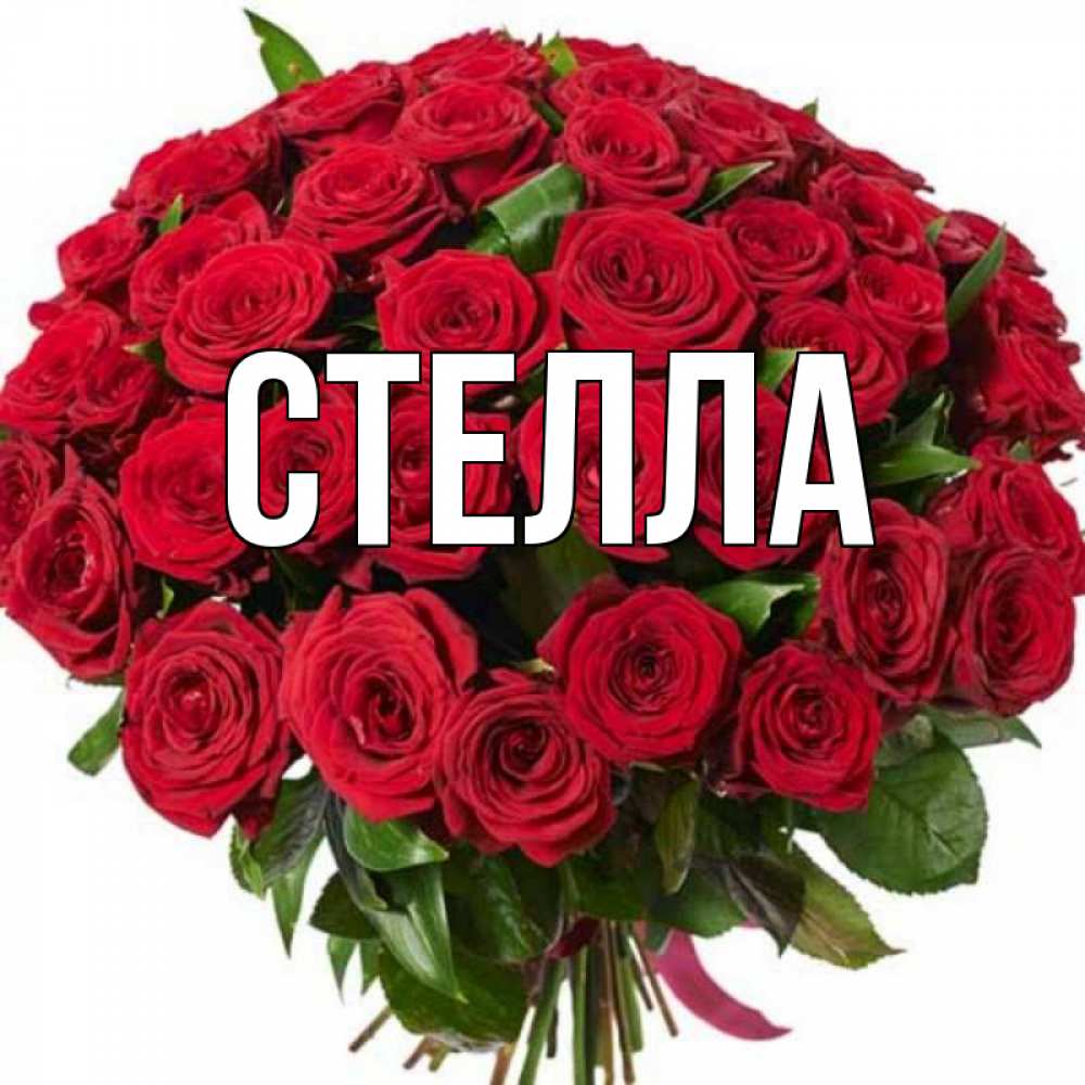 Открытка на каждый день с именем, Стелла Главная букет красных роз Прикольная открытка с пожеланием онлайн скачать бесплатно 