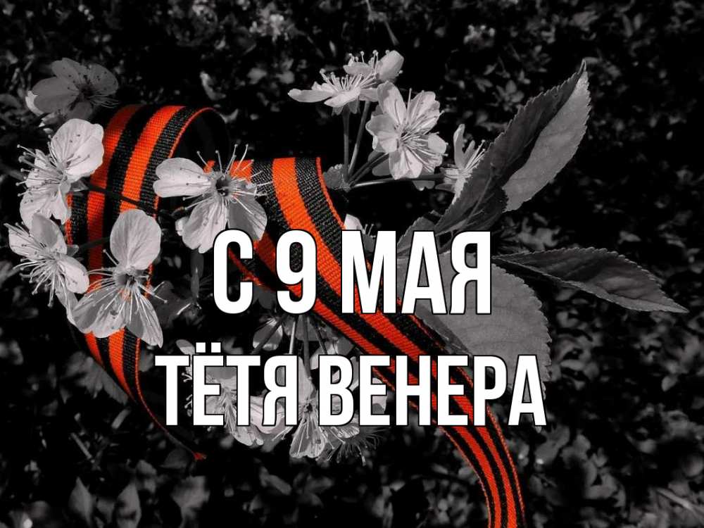 Открытка на каждый день с именем, Тётя-Венера С 9 мая 9 мая Прикольная открытка с пожеланием онлайн скачать бесплатно 