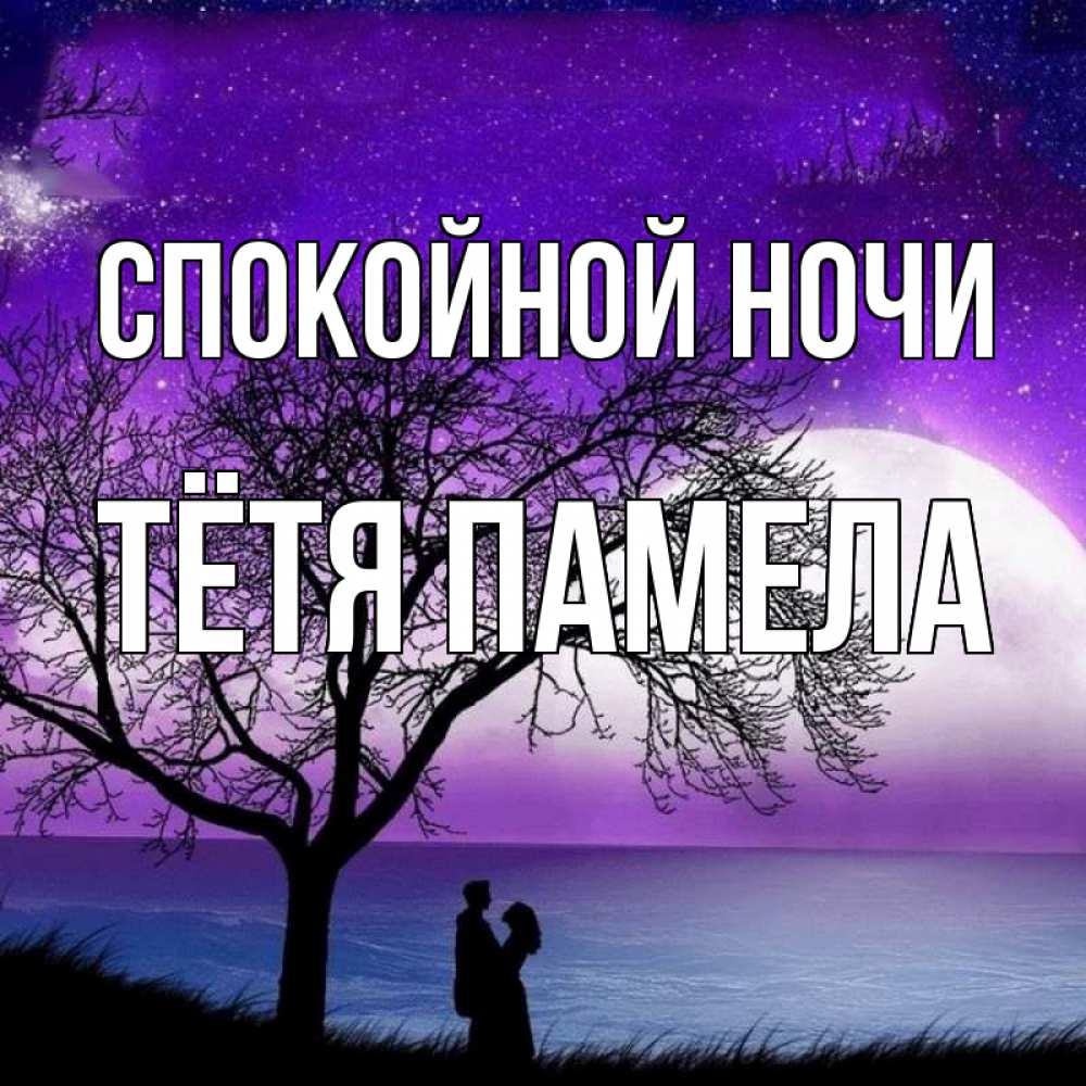 Открытка на каждый день с именем, Тётя-Памела Спокойной ночи огромная луна и парочка Прикольная открытка с пожеланием онлайн скачать бесплатно 