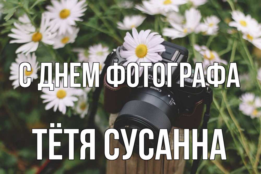 Открытка на каждый день с именем, Тётя-Сусанна С днем фотографа с днем фотографа Прикольная открытка с пожеланием онлайн скачать бесплатно 