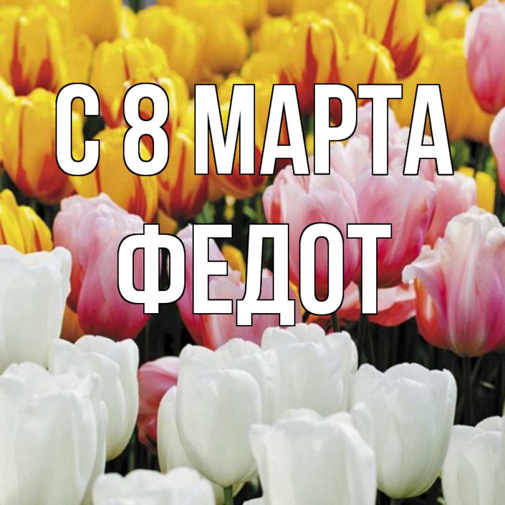 Открытка на каждый день с именем, Федот С 8 МАРТА разноцветные цветы Прикольная открытка с пожеланием онлайн скачать бесплатно 