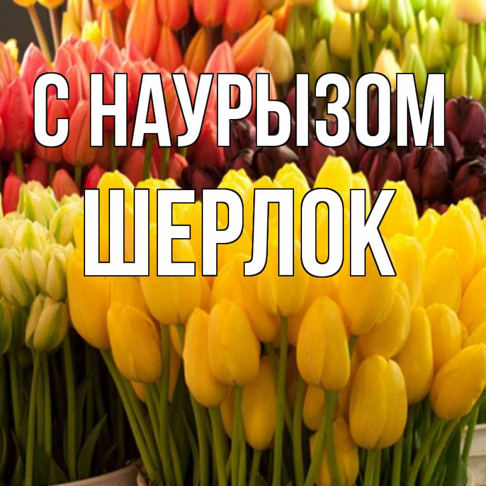Открытка на каждый день с именем, Шерлок С наурызом цветы Прикольная открытка с пожеланием онлайн скачать бесплатно 