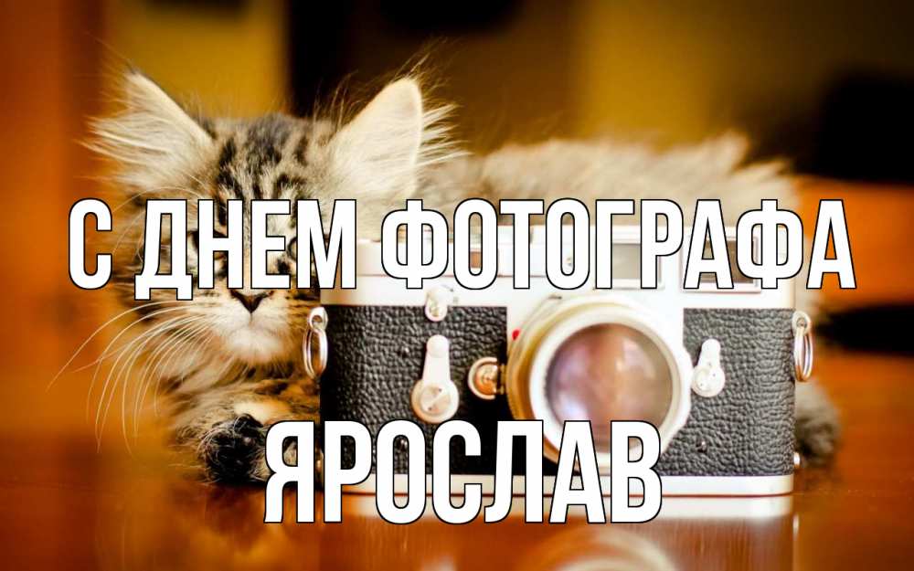 Открытка на каждый день с именем, Ярослав С днем фотографа с днем фотографа Прикольная открытка с пожеланием онлайн скачать бесплатно 