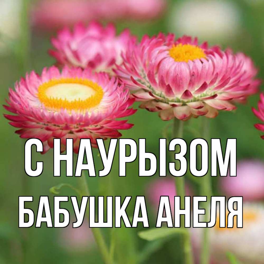 Открытка на каждый день с именем, Бабушка-Анеля С наурызом подарок на международный женский день Прикольная открытка с пожеланием онлайн скачать бесплатно 