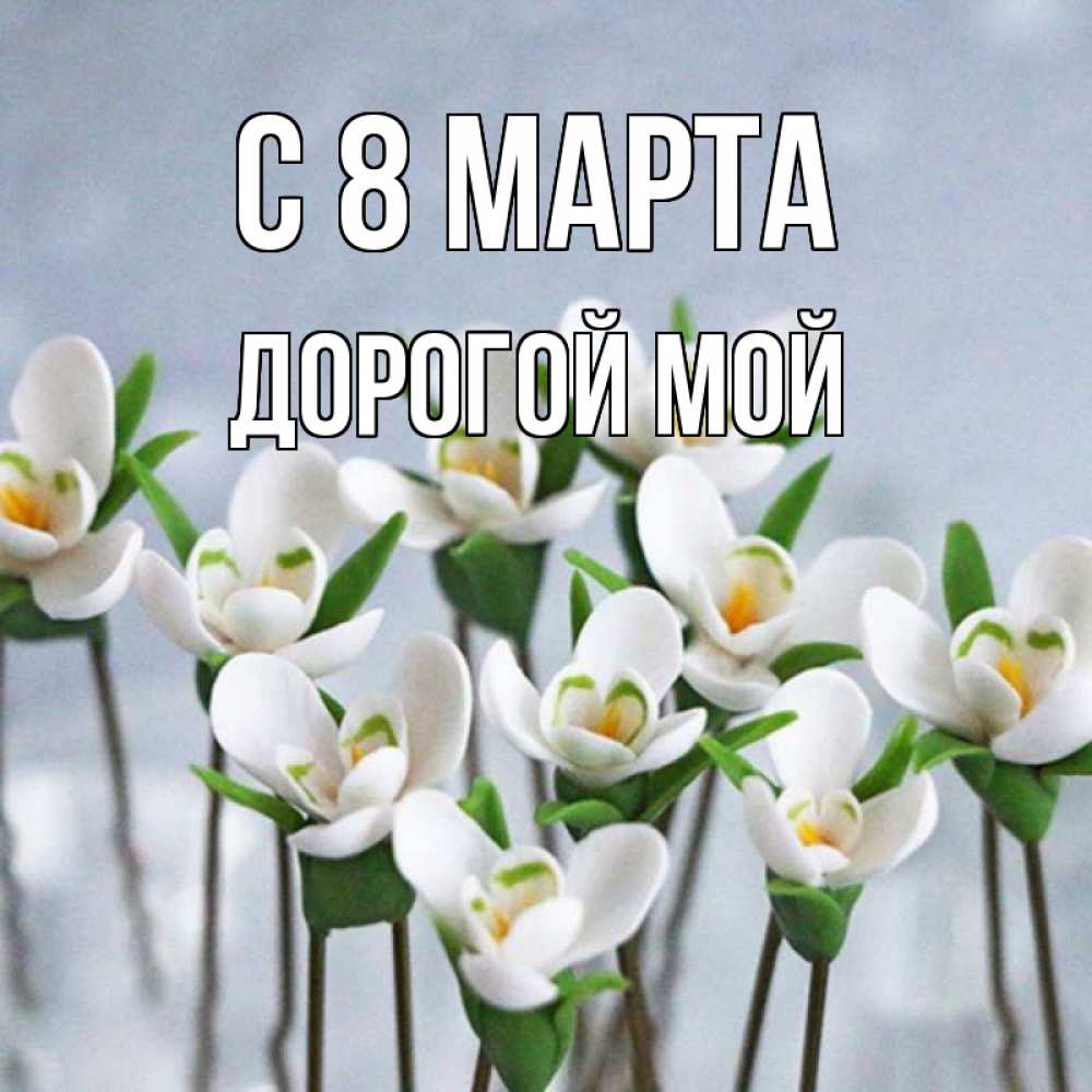 Открытка на каждый день с именем, Дорогой-мой С 8 МАРТА весенние цветы Прикольная открытка с пожеланием онлайн скачать бесплатно 
