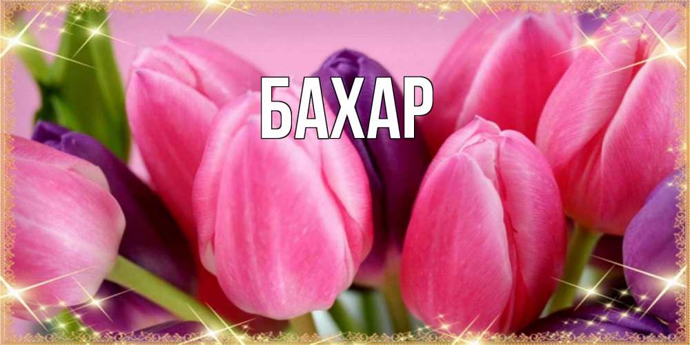 Открытка на каждый день с именем, Бахар Главная тюльпаны для женщины на международный женский день Прикольная открытка с пожеланием онлайн скачать бесплатно 