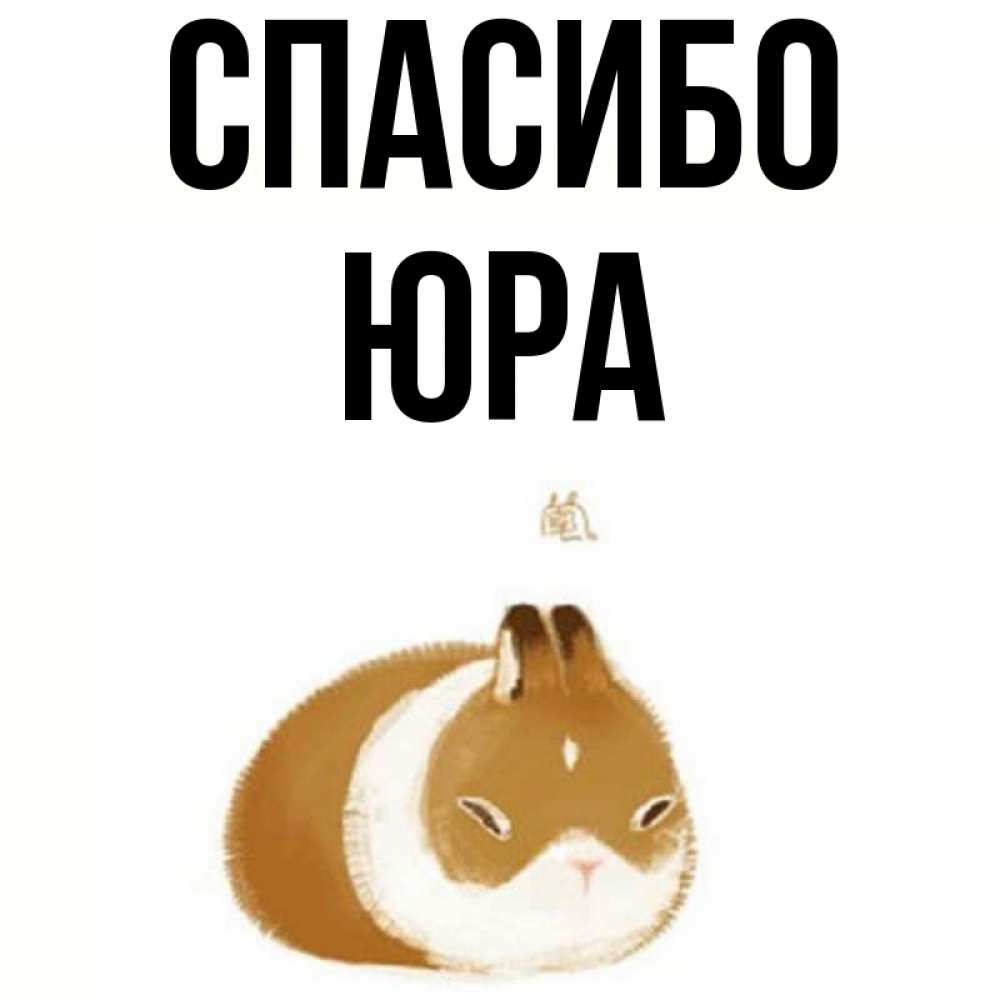 Спасибо юре. Спасибо юре