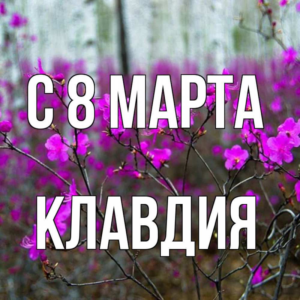 Картинка С 8 марта, Клавдия