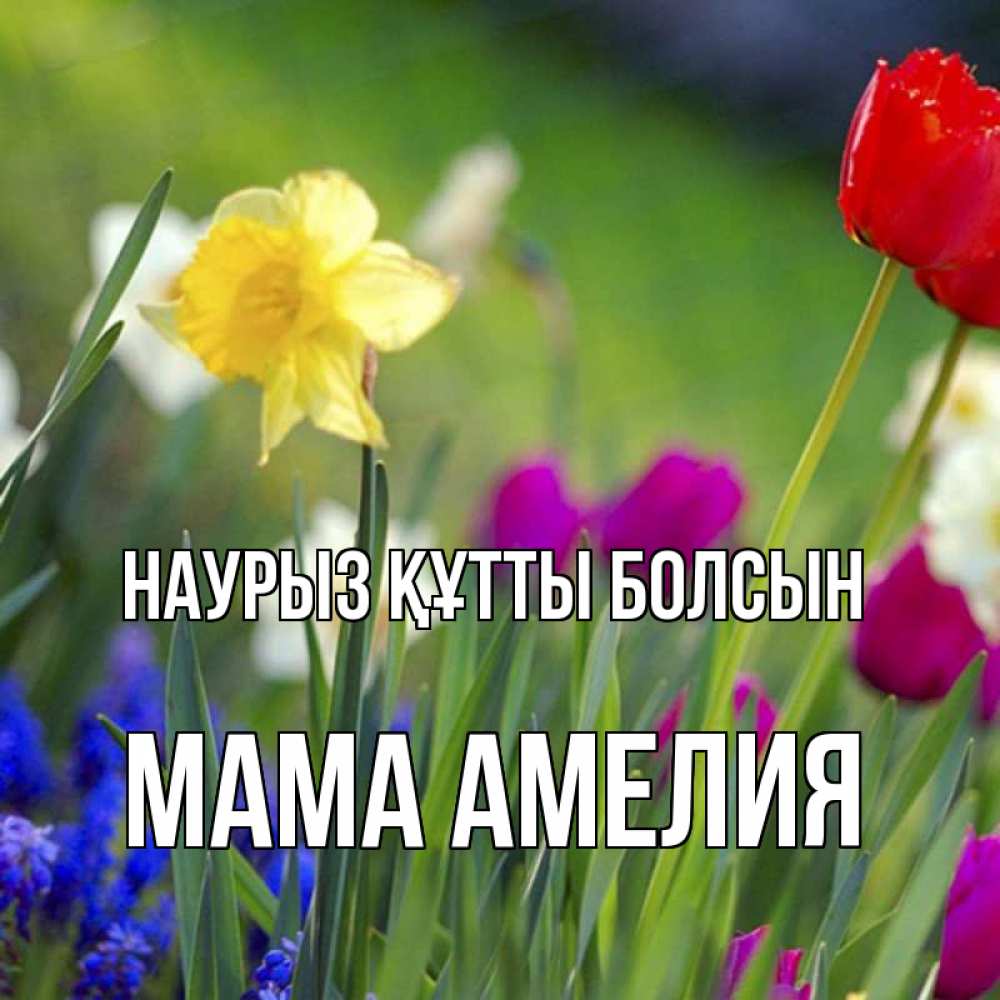 Открытка на каждый день с именем, Мама-Амелия Наурыз құтты болсын наурыз  3 открытки Прикольная открытка с пожеланием онлайн скачать бесплатно 