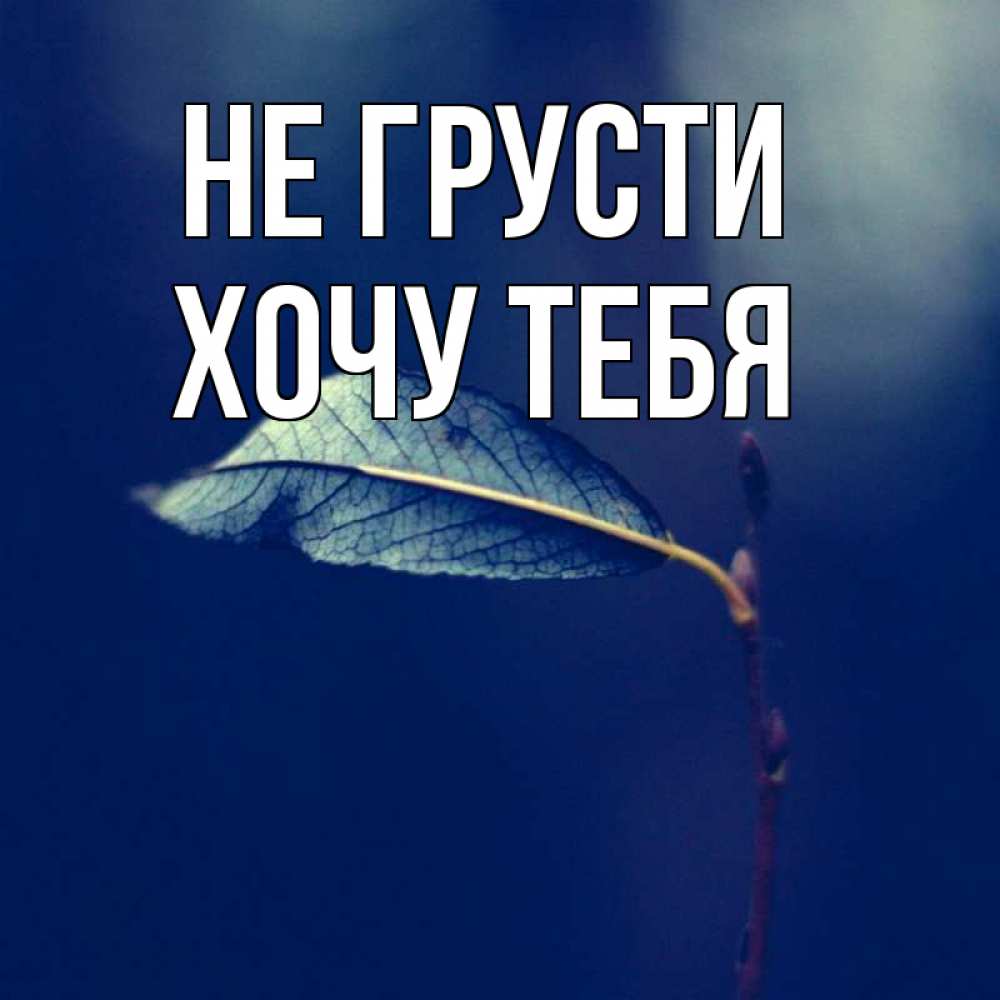 Картинка Не грусти, Хочу тебя