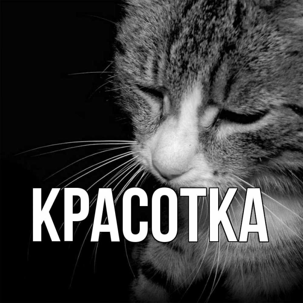 Открытка на каждый день с именем, красотка Главная мне скучно Прикольная открытка с пожеланием онлайн скачать бесплатно 