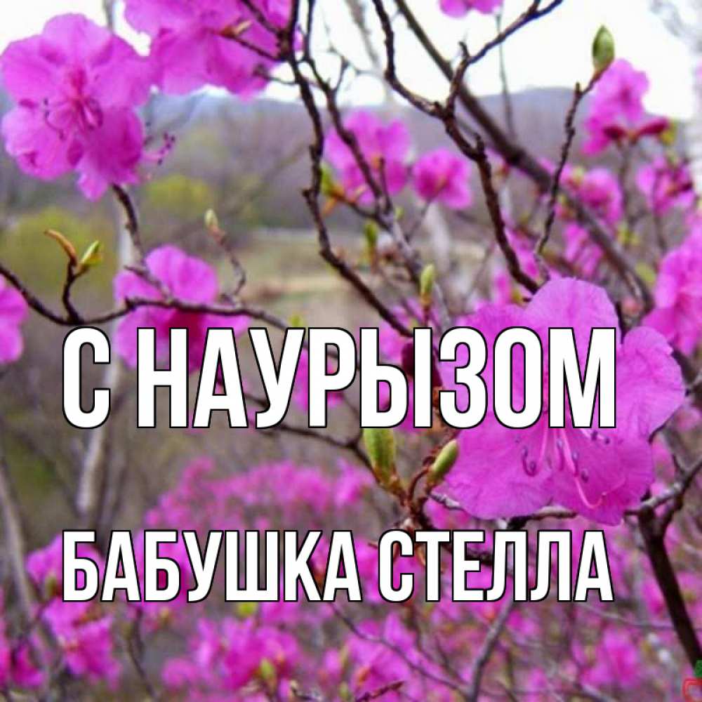 Открытка на каждый день с именем, Бабушка-Стелла С наурызом праздник весны наурыз Прикольная открытка с пожеланием онлайн скачать бесплатно 