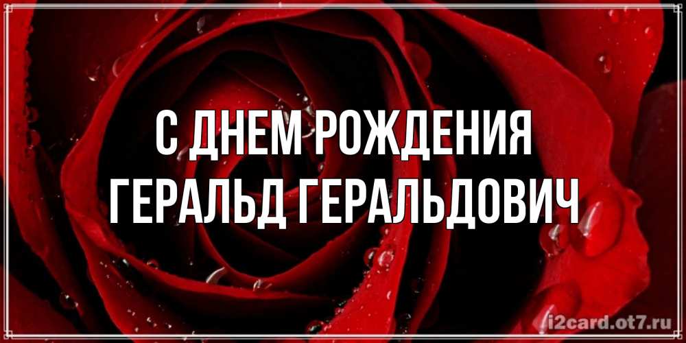 Открытка на каждый день с именем, Геральд-Геральдович С днем рождения крупная бордовая роза Прикольная открытка с пожеланием онлайн скачать бесплатно 
