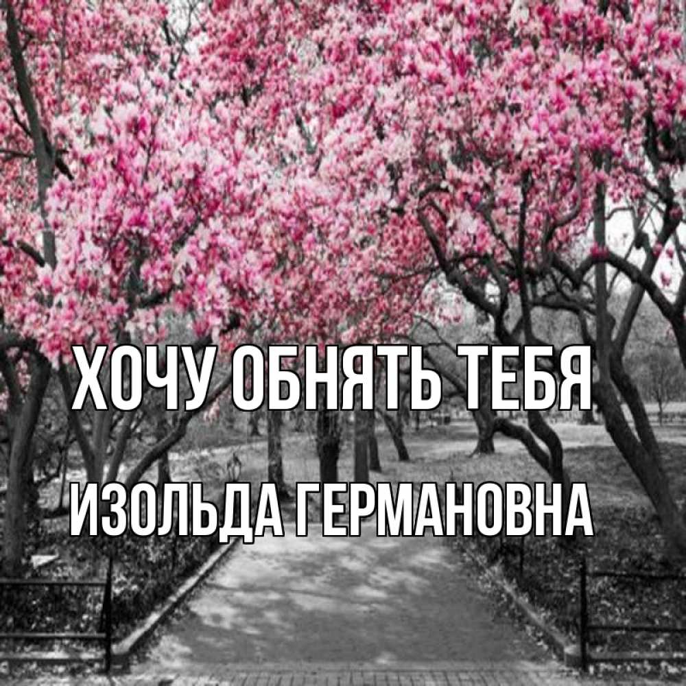 Картинка Хочу обнять тебя, Изольда Германовна