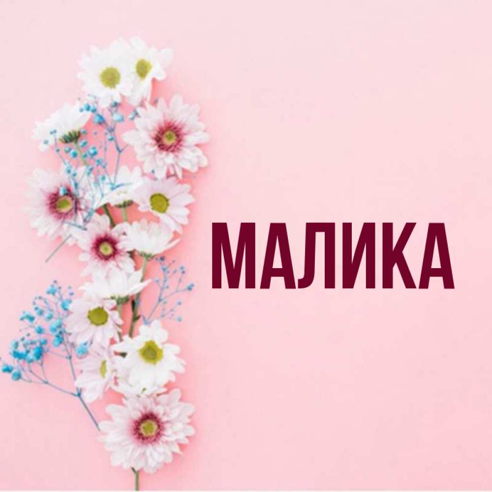 С днем рождения малика картинка девочке