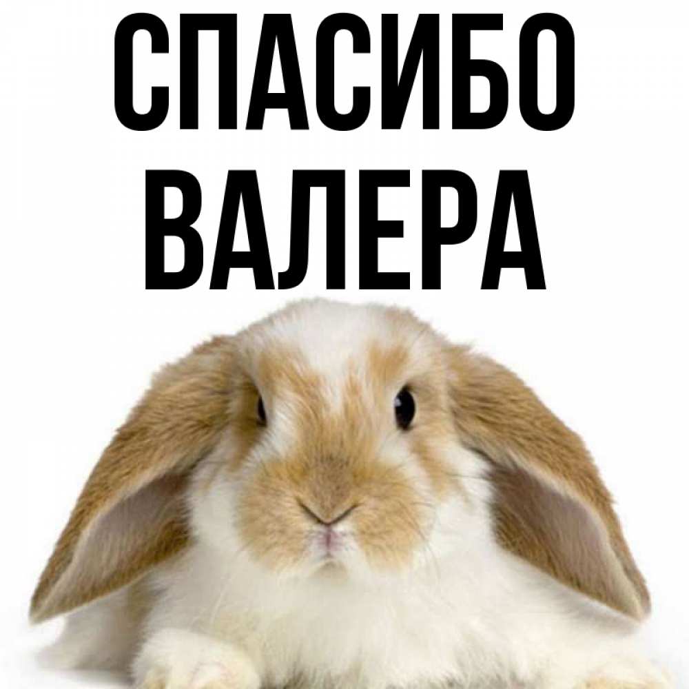 Картинки Спасибо Валера