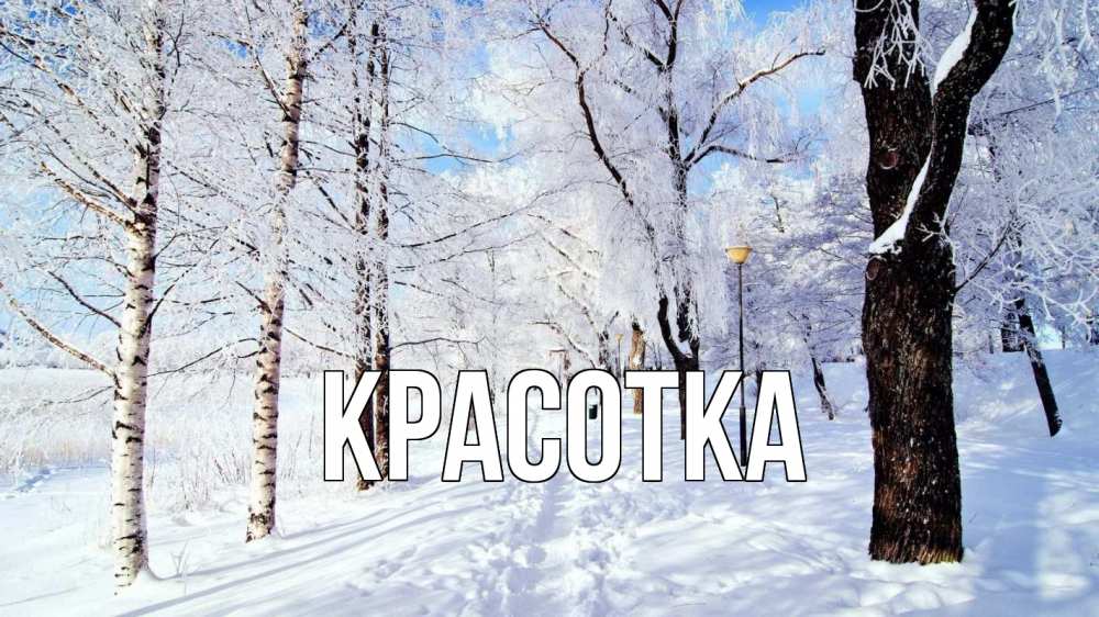 Открытка на каждый день с именем, красотка Главная зимний лес Прикольная открытка с пожеланием онлайн скачать бесплатно 