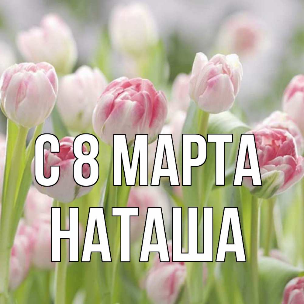 Открытка на каждый день с именем, наташа С 8 МАРТА цветы Прикольная открытка с пожеланием онлайн скачать бесплатно 