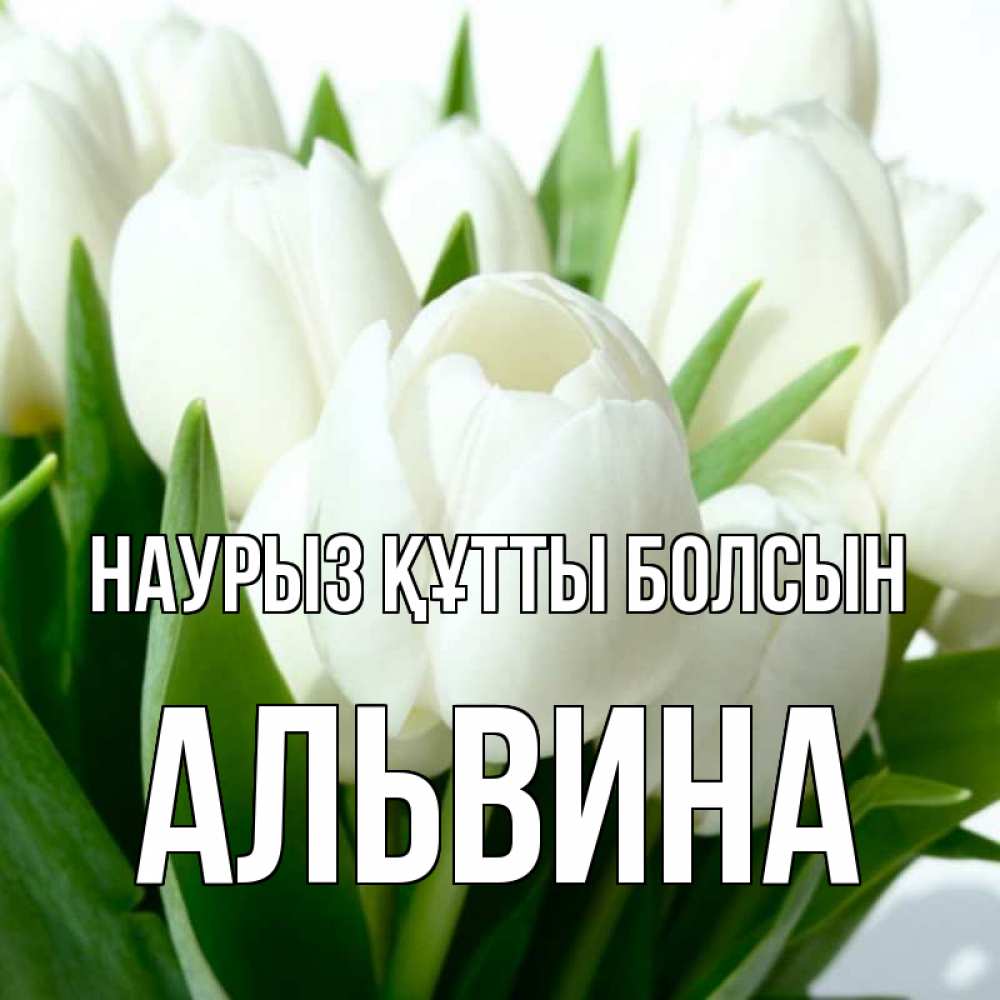 Открытка на каждый день с именем, Альвина Наурыз құтты болсын цветы Прикольная открытка с пожеланием онлайн скачать бесплатно 