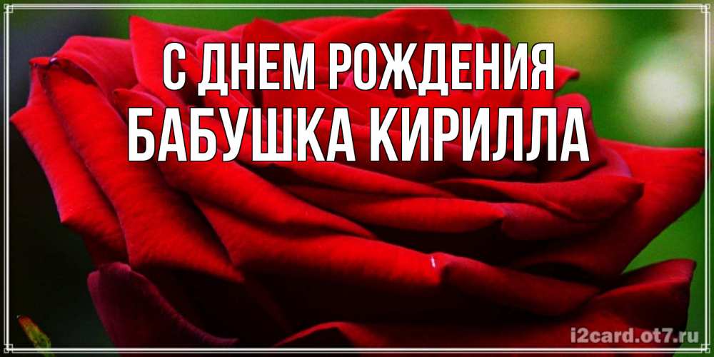 Открытка на каждый день с именем, Бабушка-Кирилла С днем рождения розочка очень красивая Прикольная открытка с пожеланием онлайн скачать бесплатно 