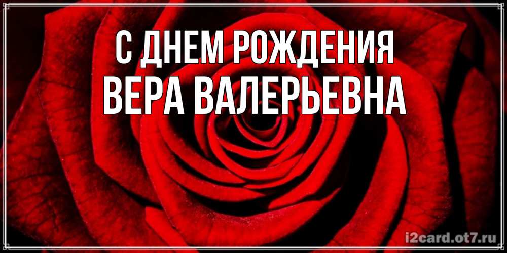 Открытка на каждый день с именем, Вера-Валерьевна С днем рождения алая роза Прикольная открытка с пожеланием онлайн скачать бесплатно 