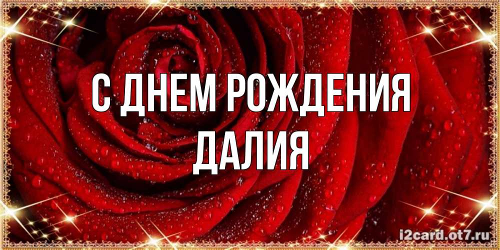 Открытка на каждый день с именем, Далия С днем рождения роса на розе блестящая в лучах солнца Прикольная открытка с пожеланием онлайн скачать бесплатно 