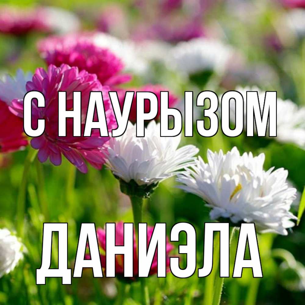 Открытка на каждый день с именем, Даниэла С наурызом праздник весны наурыз красота Прикольная открытка с пожеланием онлайн скачать бесплатно 