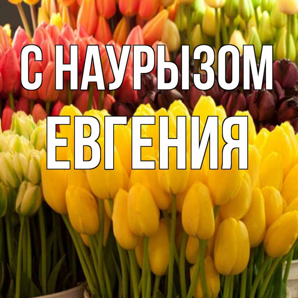 Открытка на каждый день с именем, Евгения С наурызом цветы Прикольная открытка с пожеланием онлайн скачать бесплатно 