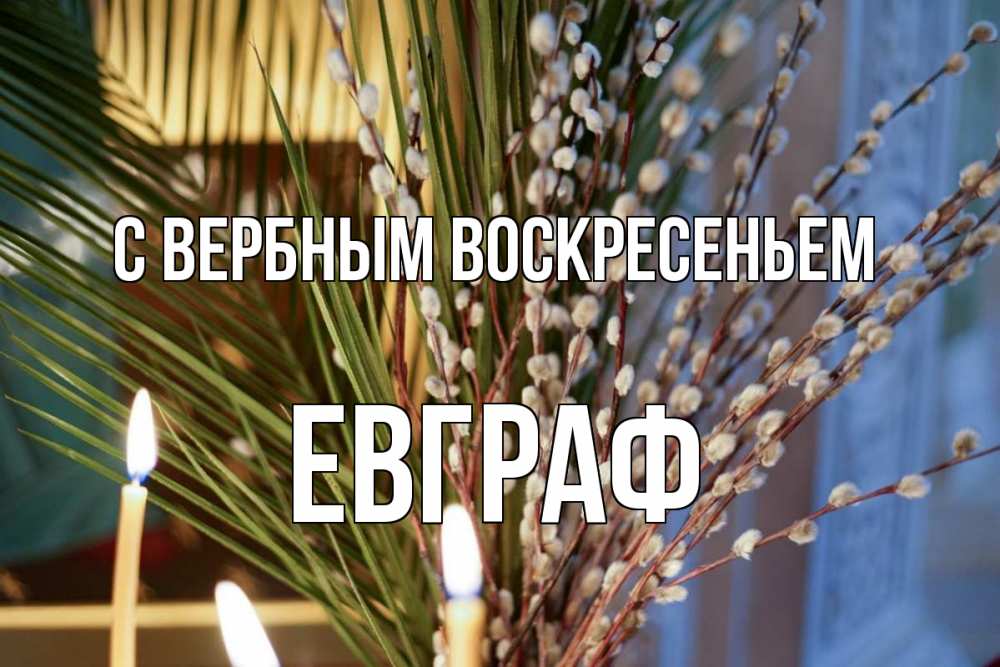 Открытка на каждый день с именем, Евграф С вербным воскресеньем верба Прикольная открытка с пожеланием онлайн скачать бесплатно 