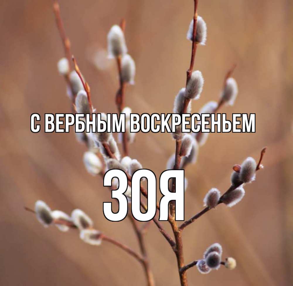 Открытка на каждый день с именем, Зоя С вербным воскресеньем верба Прикольная открытка с пожеланием онлайн скачать бесплатно 