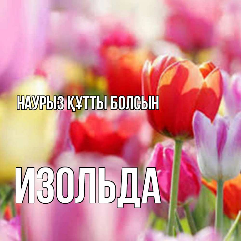 Открытка на каждый день с именем, Изольда Наурыз құтты болсын на наурыз  2 Прикольная открытка с пожеланием онлайн скачать бесплатно 