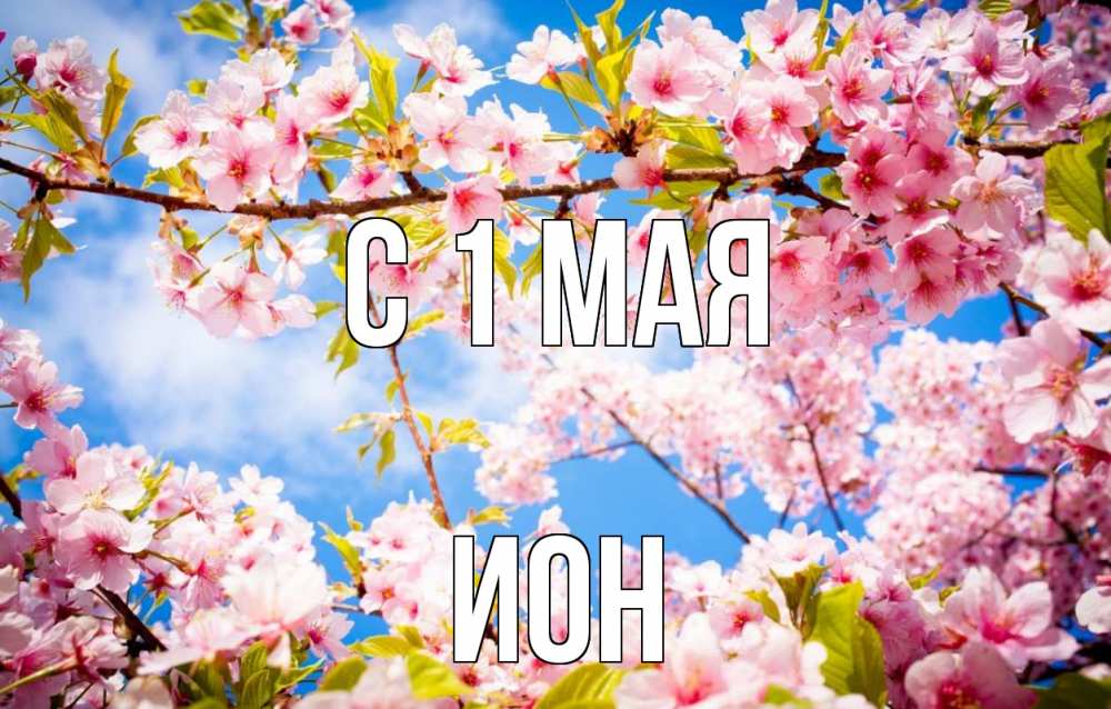 Открытка на каждый день с именем, Ион С 1 мая С 1 мая Прикольная открытка с пожеланием онлайн скачать бесплатно 