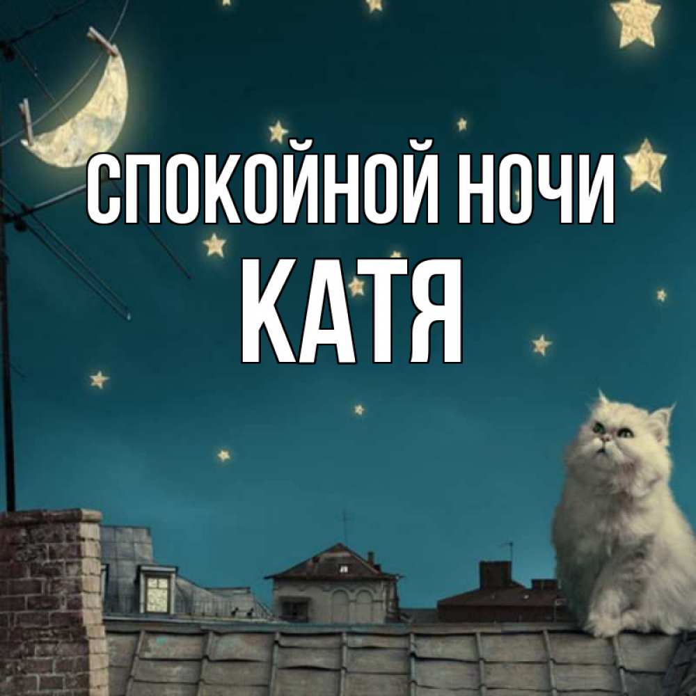 Открытка на каждый день с именем, КАТЯ Спокойной ночи белый кот сидит на крыше Прикольная открытка с пожеланием онлайн скачать бесплатно 
