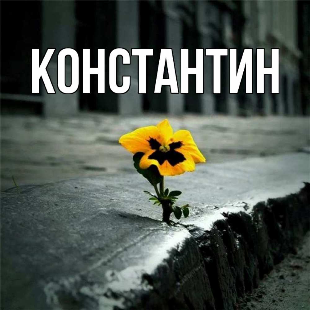 Открытка на каждый день с именем, Константин Главная надеюсь будет лучше Прикольная открытка с пожеланием онлайн скачать бесплатно 