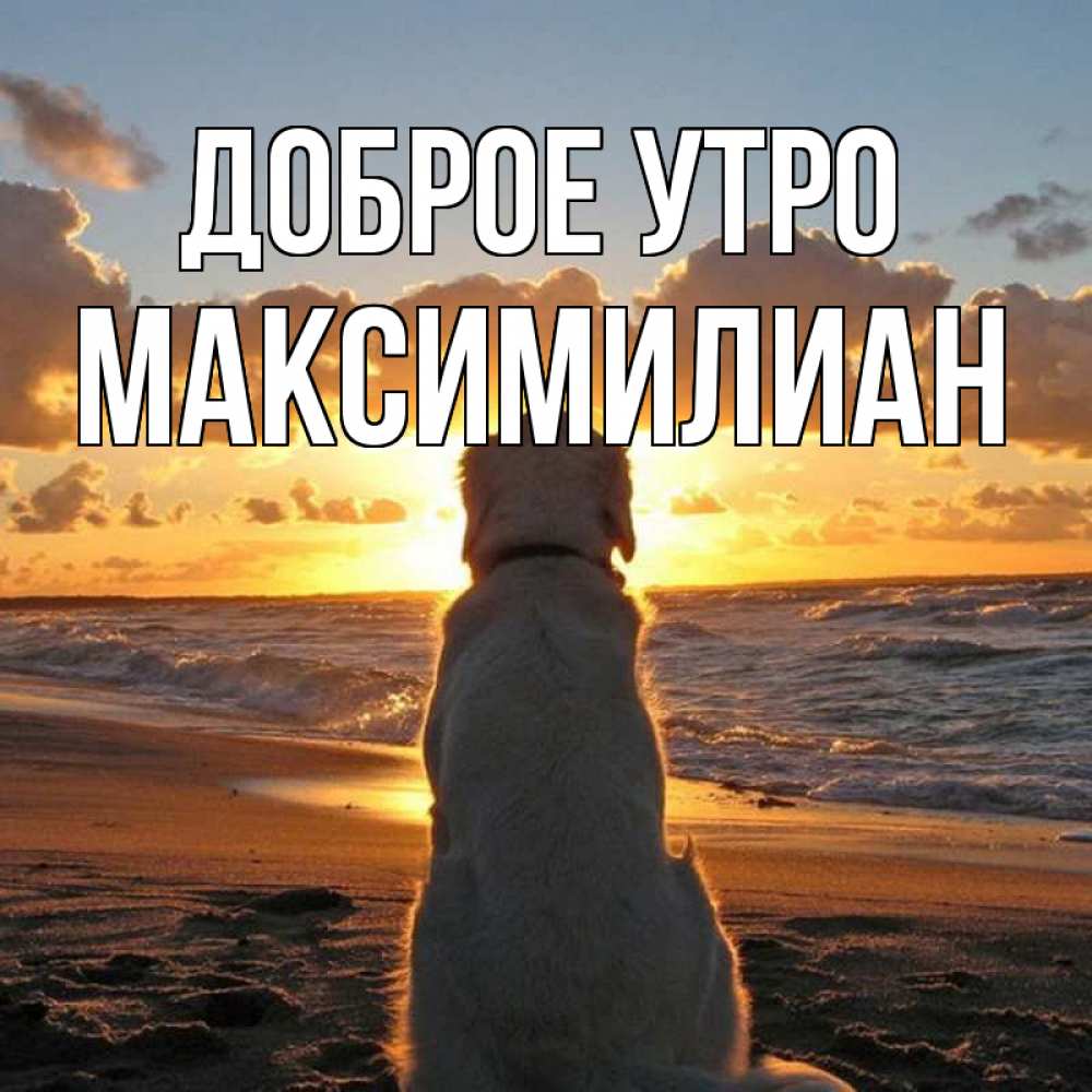 Открытка на каждый день с именем, Максимилиан Доброе утро восход солнца Прикольная открытка с пожеланием онлайн скачать бесплатно 