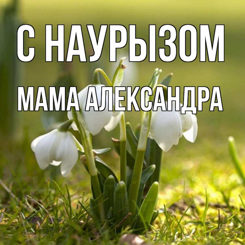 Открытка на каждый день с именем, Мама-Александра С наурызом ранние цветы 2 Прикольная открытка с пожеланием онлайн скачать бесплатно 
