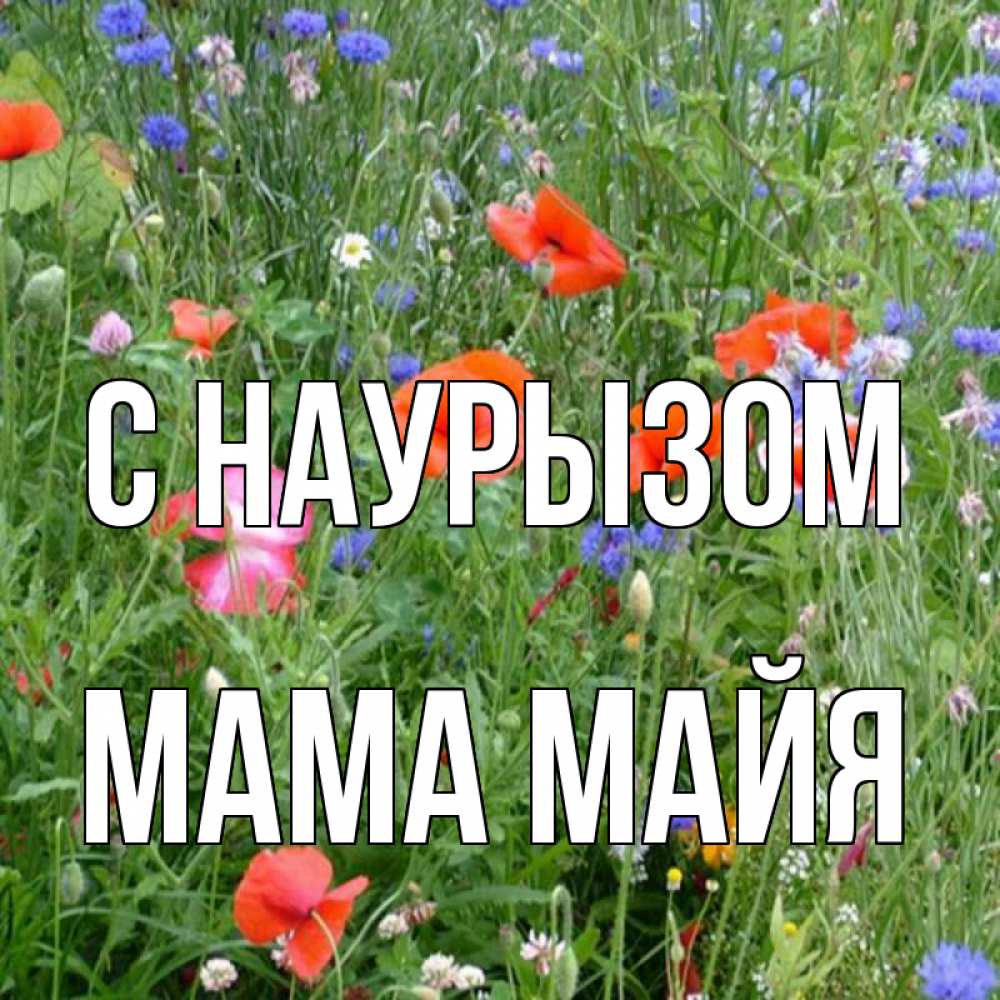 Открытка на каждый день с именем, Мама-Майя С наурызом праздник весны наурыз супер открытка Прикольная открытка с пожеланием онлайн скачать бесплатно 