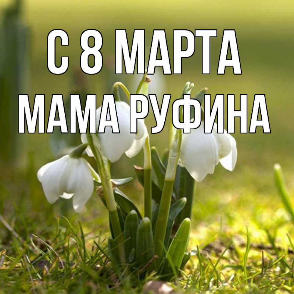 Открытка на каждый день с именем, Мама-Руфина С 8 марта ранние цветы 2 Прикольная открытка с пожеланием онлайн скачать бесплатно 
