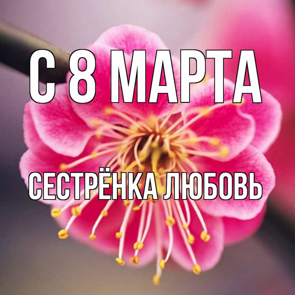 Открытка на каждый день с именем, Сестрёнка-Любовь С 8 марта цветы Прикольная открытка с пожеланием онлайн скачать бесплатно 