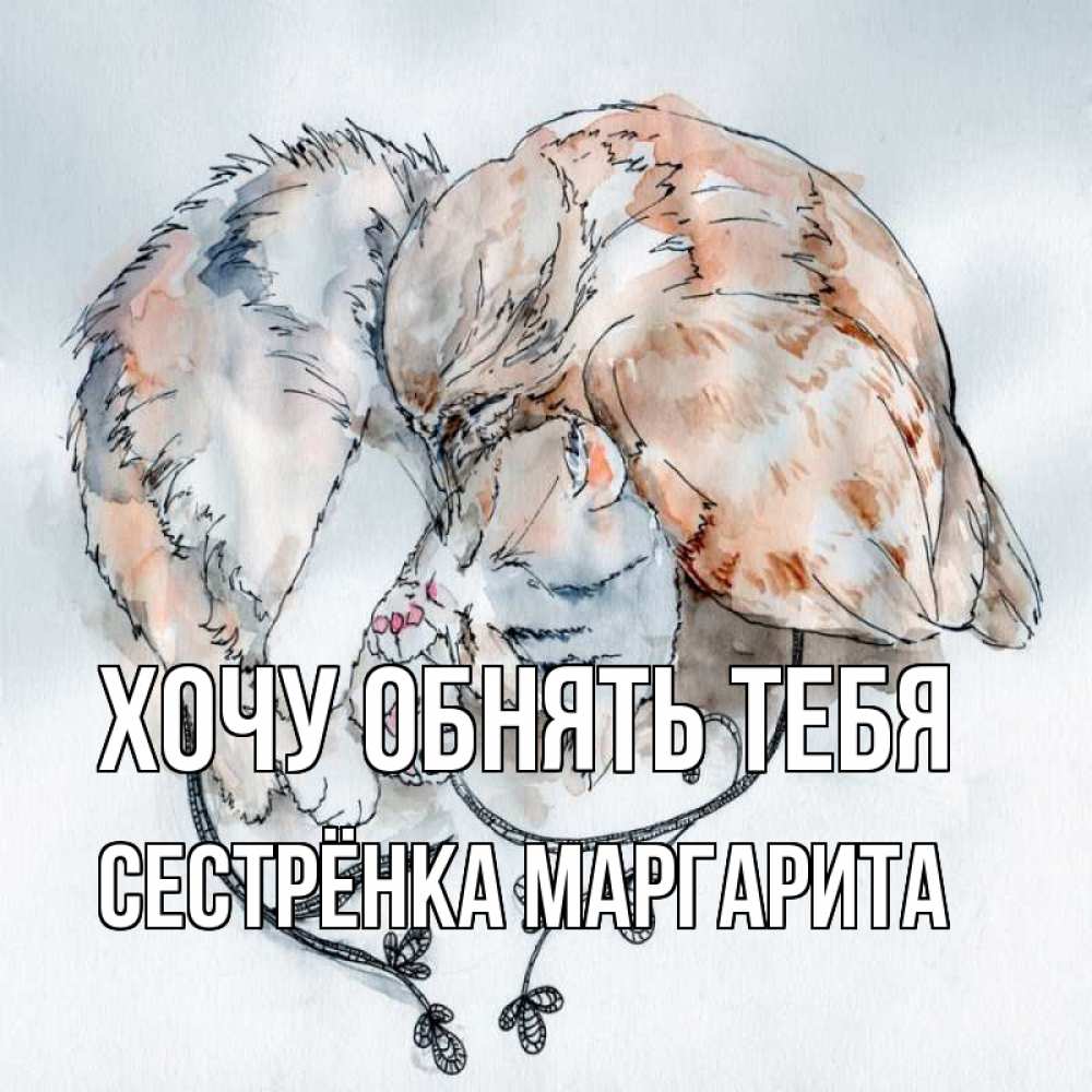 Открытка на каждый день с именем, Сестрёнка-Маргарита Хочу обнять тебя можно быть вместе даже когда очень разные Прикольная открытка с пожеланием онлайн скачать бесплатно 