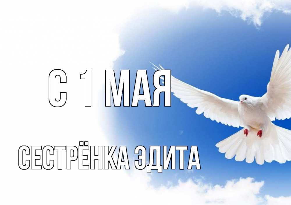 Открытка на каждый день с именем, Сестрёнка-Эдита С 1 мая С 1 мая Прикольная открытка с пожеланием онлайн скачать бесплатно 