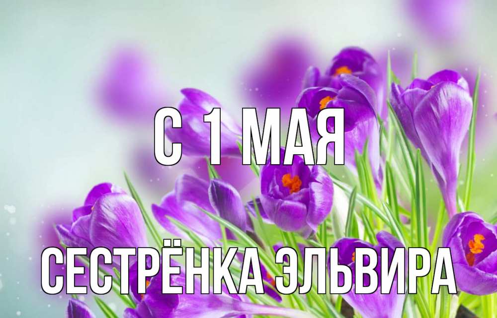 Открытка на каждый день с именем, Сестрёнка-Эльвира С 1 мая 1 мая Прикольная открытка с пожеланием онлайн скачать бесплатно 